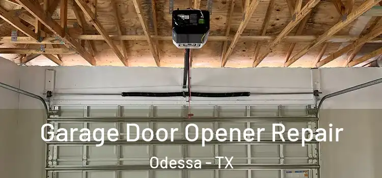  Garage Door Opener Repair Odessa - TX