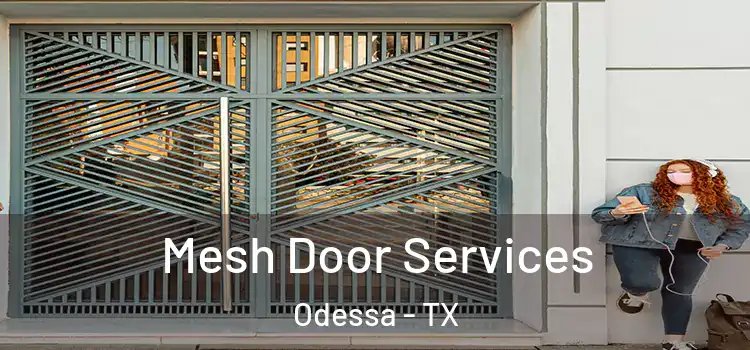  Mesh Door Services Odessa - TX