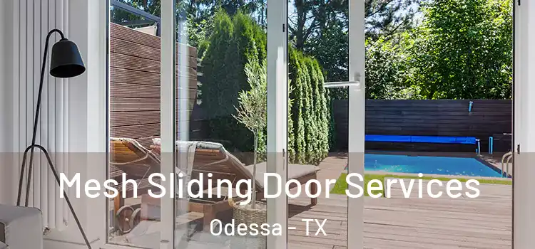 Mesh Sliding Door Services Odessa - TX