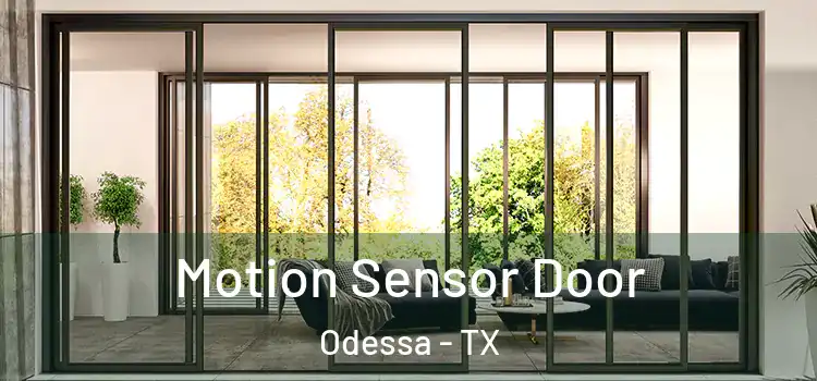  Motion Sensor Door Odessa - TX